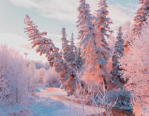 Gallery Of Photography By Patrick Thun - Alaska