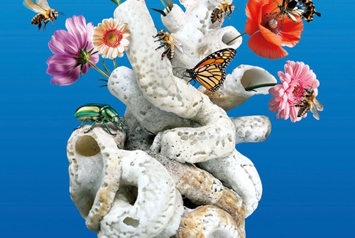 Gallery of Selected Posters from the 18th International Poster Biennial in Mexico (Category B)