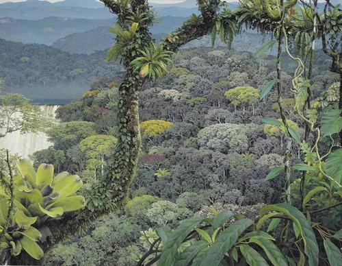 Gallery Of Painting By Maurício Barbato-Brazil