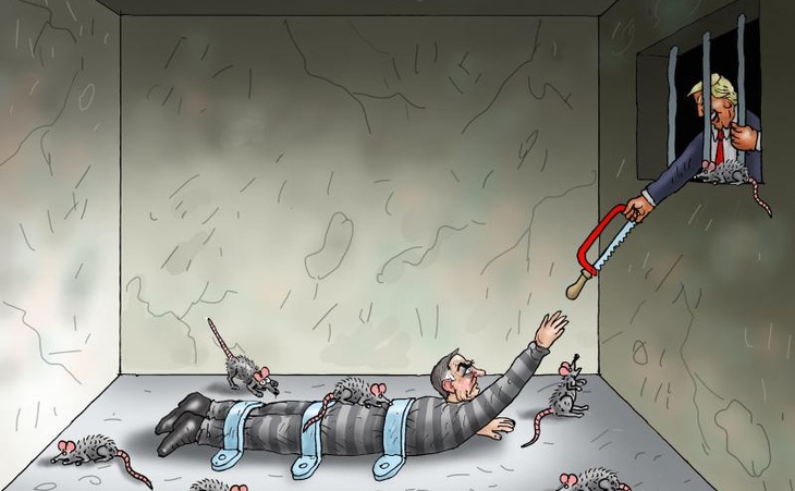 THE DIFFERENCE BETWEEN US AND BRAZILIAN DEMOCRACY