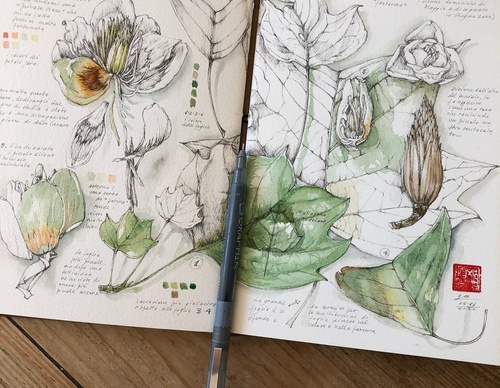 Gallery of Drawing by GiacoMina Ferrillo-Italy