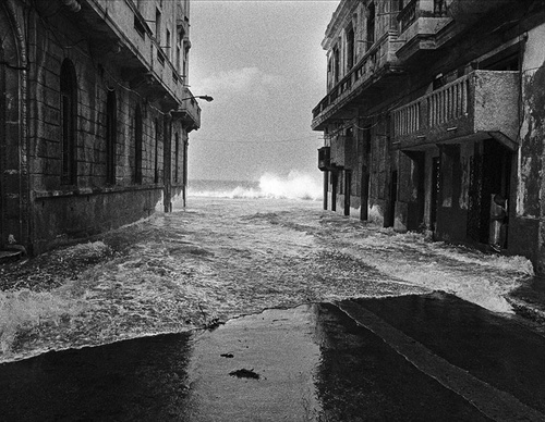 raul canibano