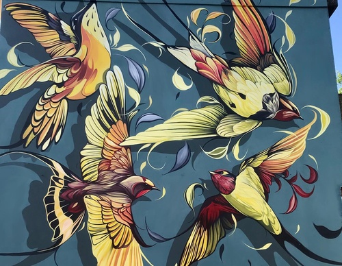 Gallery Of Street Art By Fio Silva - Argentina
