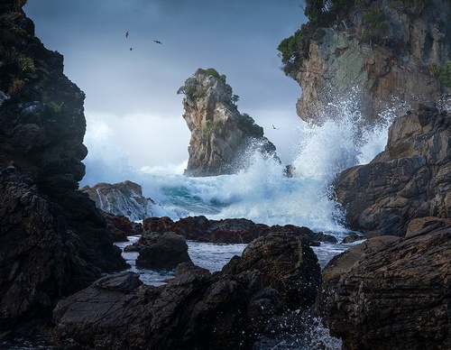Galeria de fotografias de William Patino - Nova Zelândia