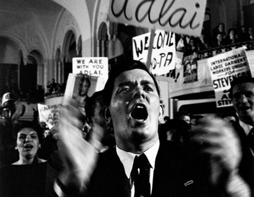 cornell capa