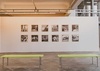 El arte de Damián Ayma Zepita llega a la Bienal del Mercosur