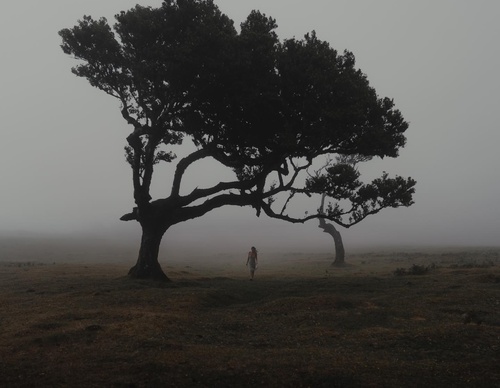 Galería de fotografías de Rob Ash - Inglaterra