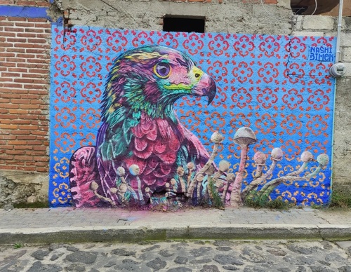 Galería de arte callejero de Nashi Bime - México