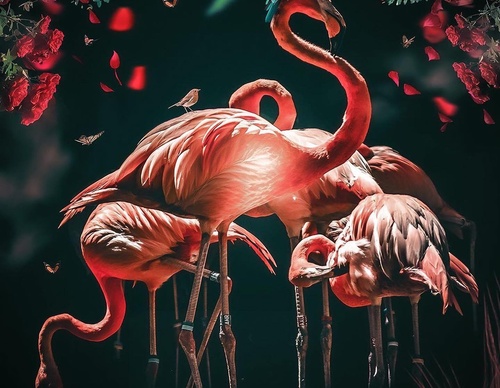 Galería de fotografías de Evgeny Gammer - Rusia