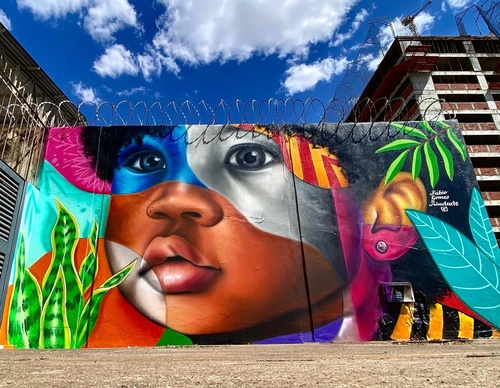 Gallery Of Street Art By Fábio Gomes Trindade - Brazil