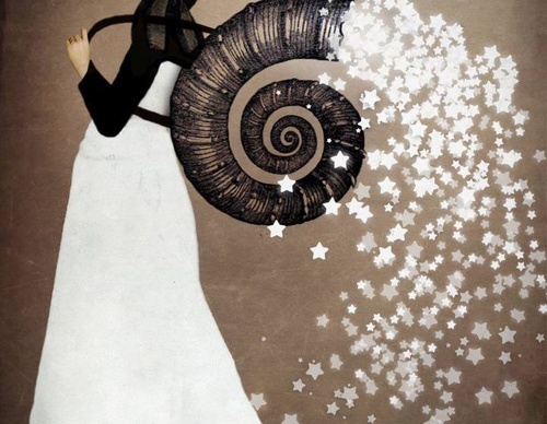 Galeria de ilustrações de Catrin Welz Stein - Alemanha