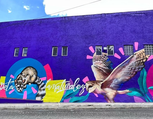 Gallery Of Street Art By Sekta - Brazil