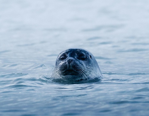 Galería de Fotografía de Daryl Scott Walker - Inglaterra
