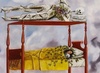 Autorretrato de Frida Kahlo