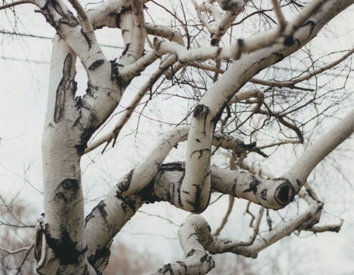 gregory halpern