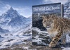 El Libro de los Gatos Salvajes | Con fotografías de Terry Wittaker