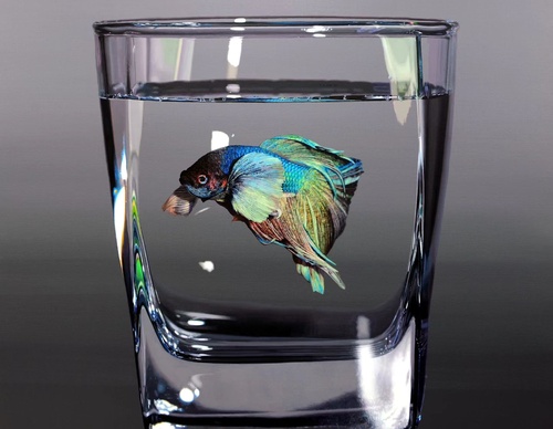Gallery Of Realistic Painting By Young-sung Kim - South Korea