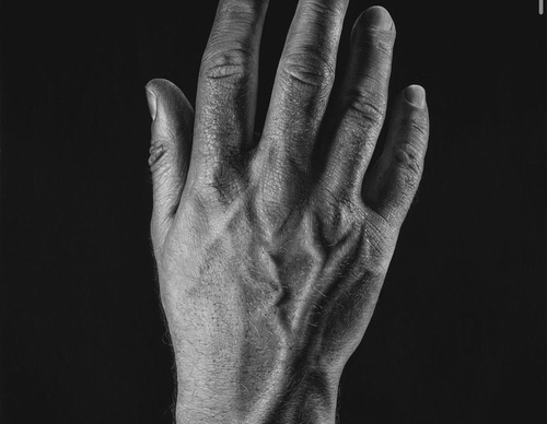 Gallery Of Realistic Painting By Emma Towers Evans - Brazil