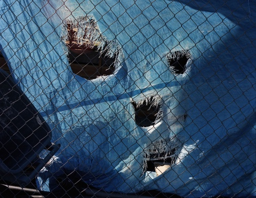 gregory halpern