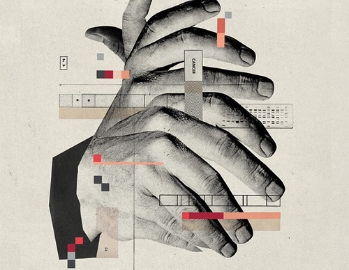 Gallery Of Illustration By Mike McQuade - Usa