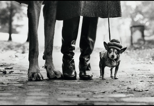 Capturando el ingenio de la vida: Galería de Elliott Erwitt, fotógrafo estadounidense