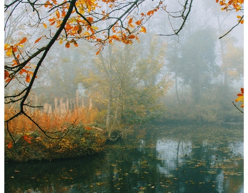 Gallery Of Photography By Daniel Casson - United Kingdom
