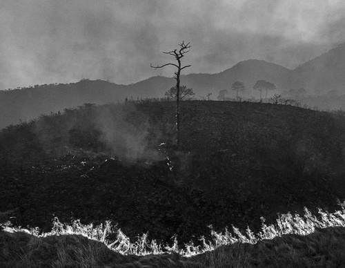 world press photo
