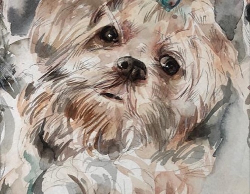 Gallery Of WaterColor Painting By Xavier Palau Blacio - Argentina