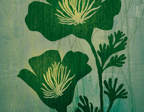 pw green botanicals