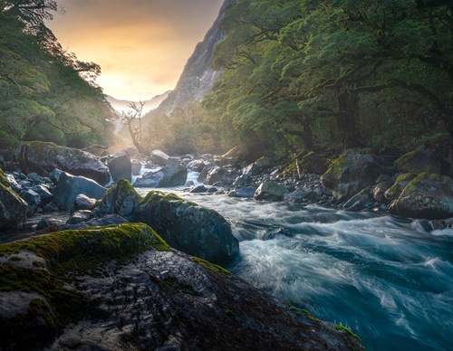 Galeria de fotografias de William Patino - Nova Zelândia