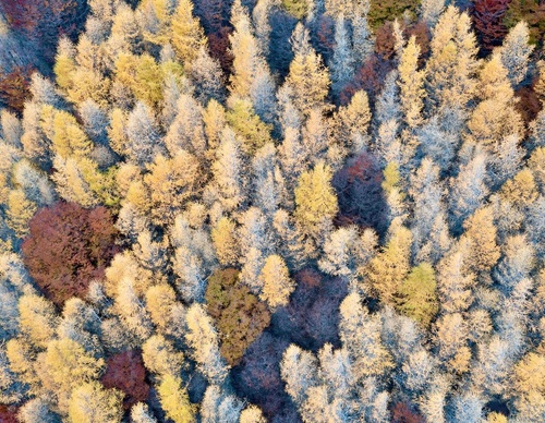 Galería de fotografía de Christian Aguirre Duffourc - Chile