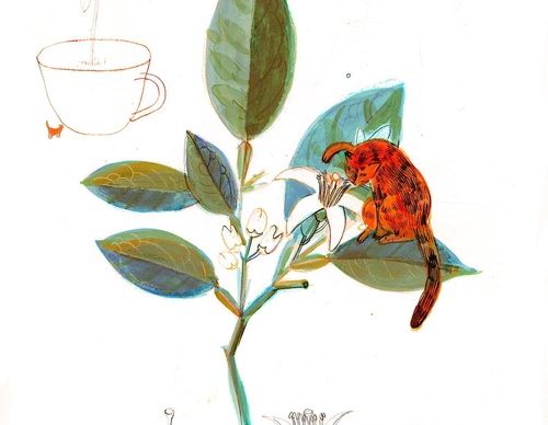 elizabeth builes