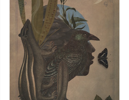 Galeria de ilustrações de Sarah Jarrett - Jamaica