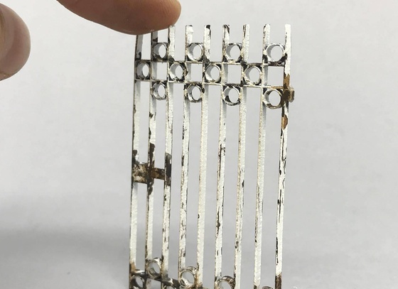 raphael truffi bortholuzzi brazil