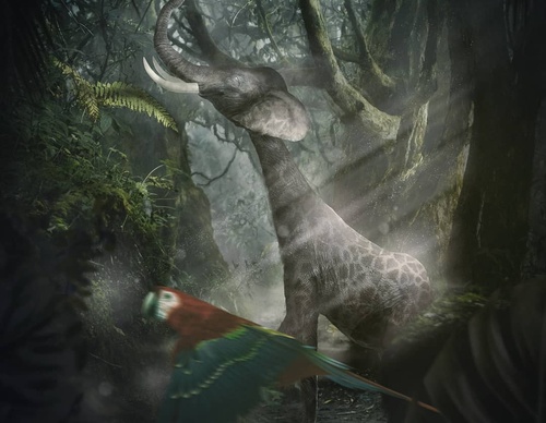 Galería De Ilustración De Gastón - Argentina