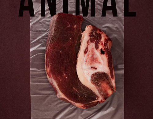 blank poster animal