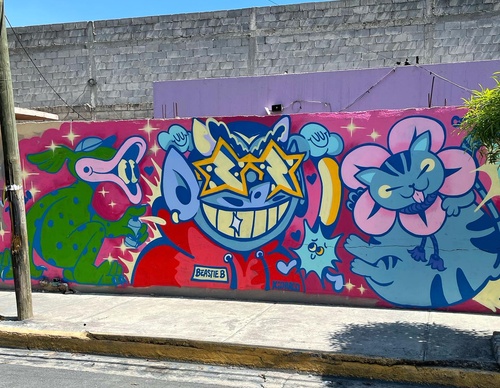Gallery Of Street Art By Peemouh - Mexico