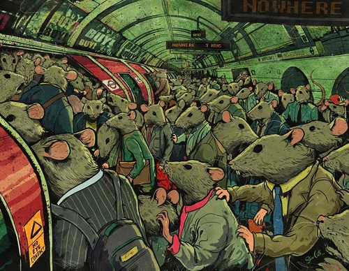 steve cutts