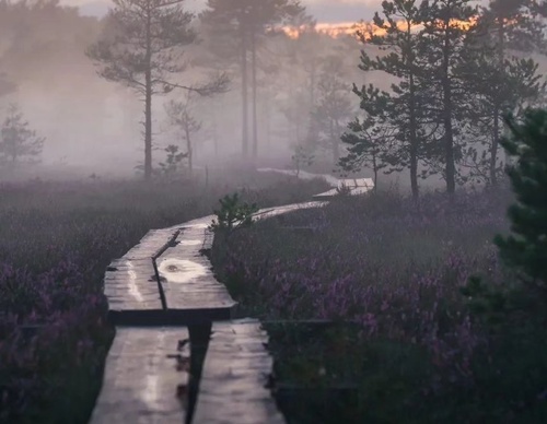 Gallery Of Photography By Elias Kalliola - USA