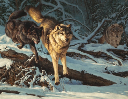 Gallery Of Painting By Greg Beecham - USA