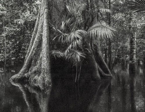 Gallery Of Photography By Cassio Vasconcellos - Brazil