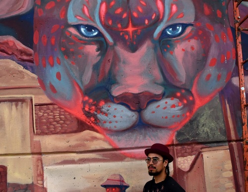 Gallery Of Street Art By Kiki - Brazil