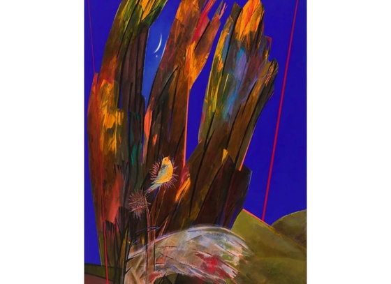 Morteza Asadi
