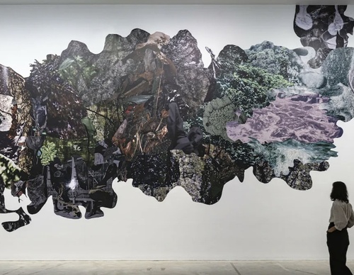 The Role of Conceptual Art in Brazil, Colombia, and Mexico