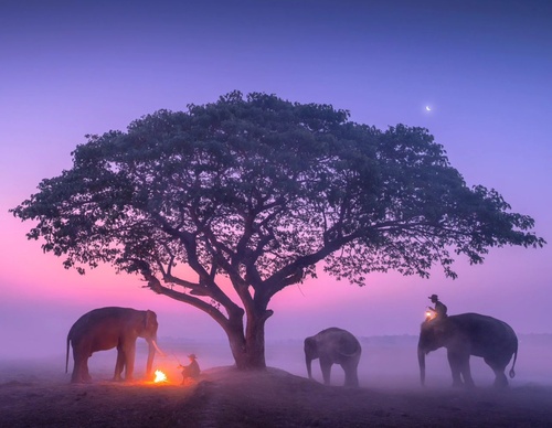 Gallery Of Photography By Albert Dros - Netherland