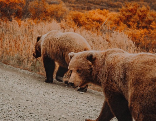 Gallery Of Photography By Chris Henry - USA