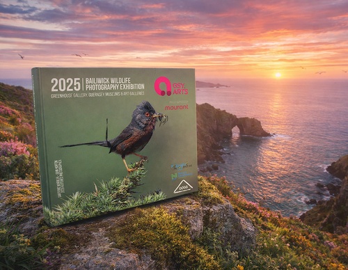 Exposição de Fotografia de Vida Selvagem 2025