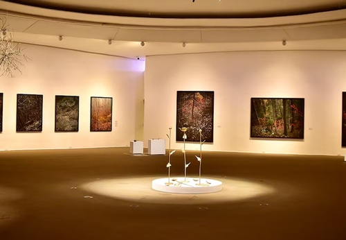 Exposição de Edo Costantini no MAC Niterói, no Rio de Janeiro