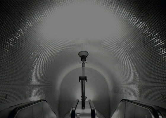 Gallery Of Photography By Cristiano Mascaro - Brazil