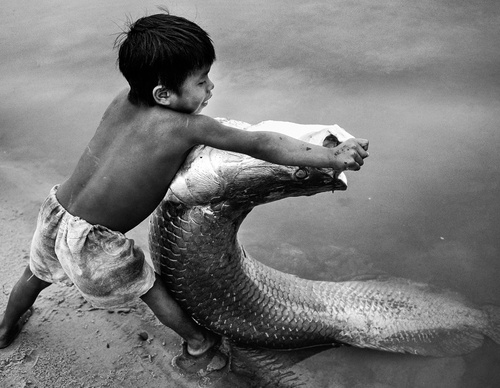 Galería de fotografía de Araquém Alcântara - Brasil